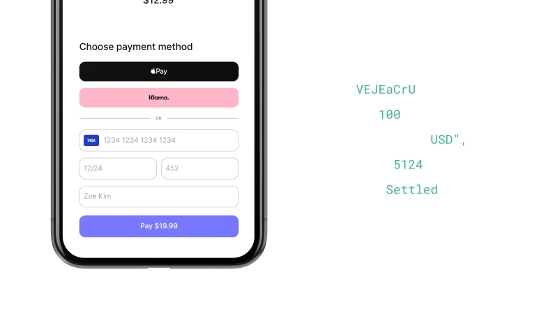 Control every stage of the payment lifecycle
