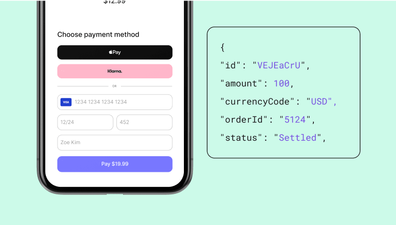 Control every stage of the payment lifecycle